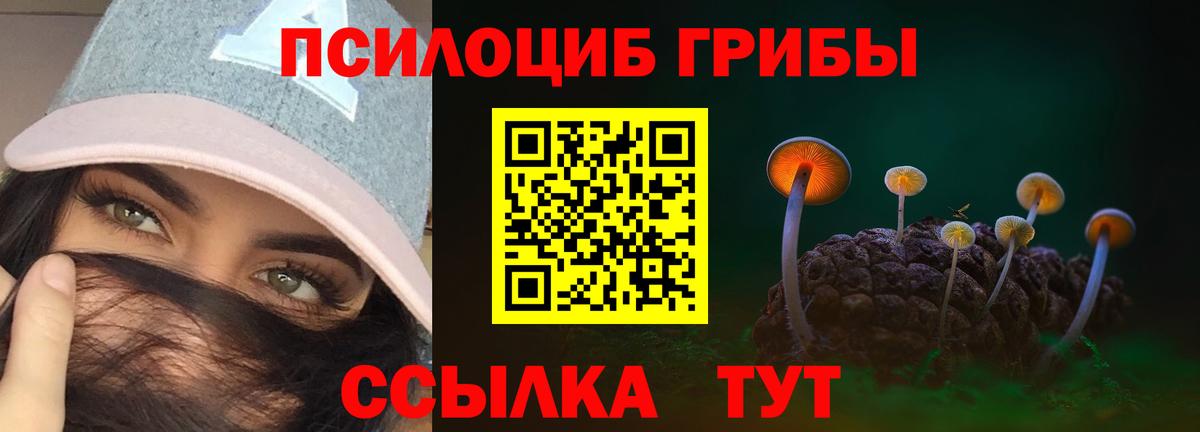 Галлюциногенные грибы Psilocybine cubensis  Вход с VPN  купить наркотики цена  Мичуринск 